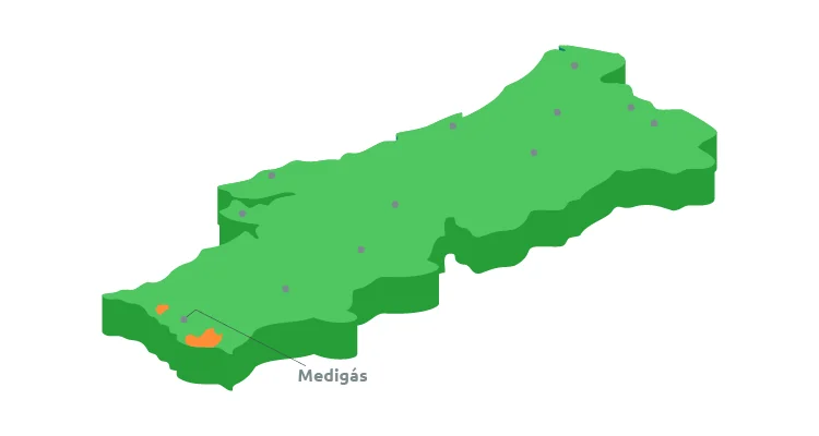 Medigas