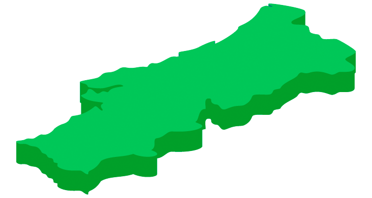 Mapa da distribuição de gás natural em Portugal