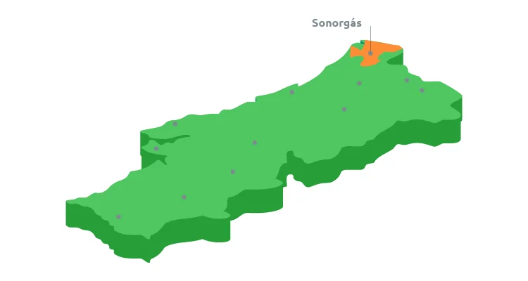 Sonorgas Vila Real