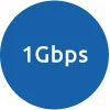 1 Gbps